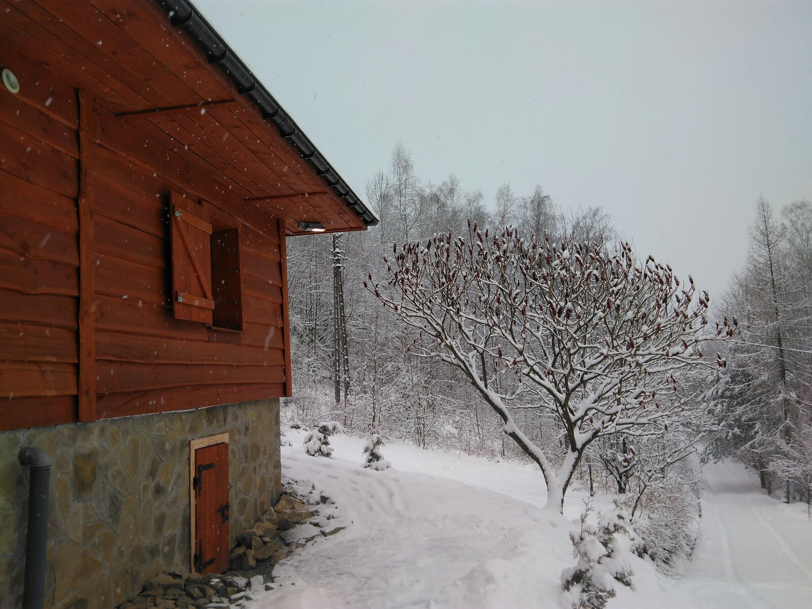 Świerkowe Zacisze - beskidy - noclegi