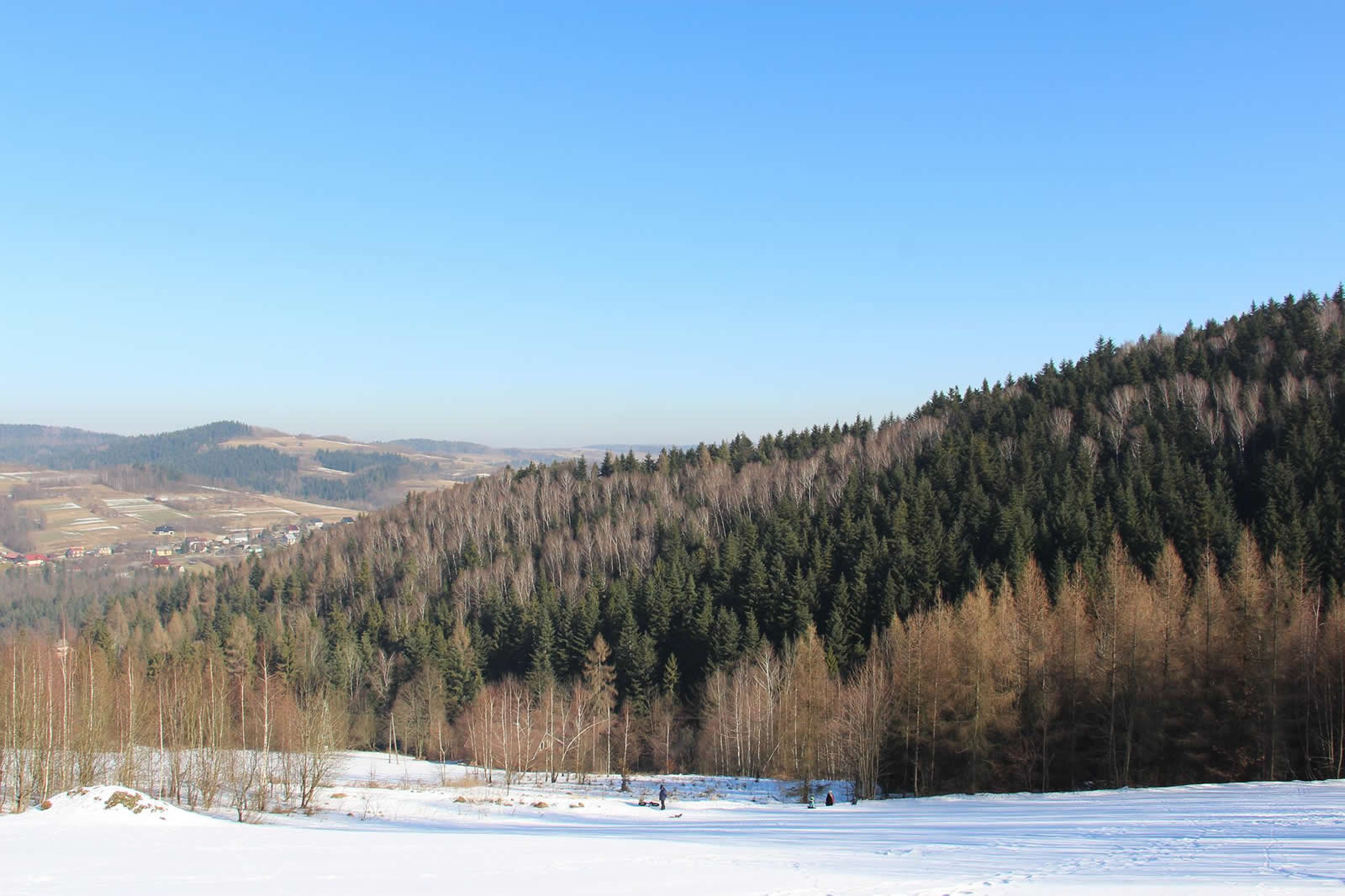 Świerkowe Zacisze - beskidy - domki do wynajęcia